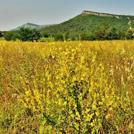Prázdninový dům Mas Au Pic-saint-loup *
