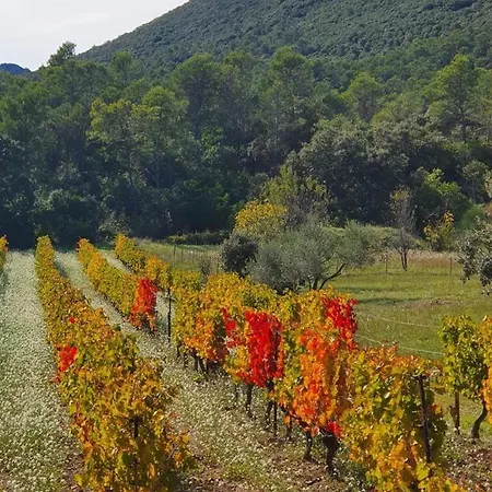 Mas Au Pic-saint-loup Casa de Férias