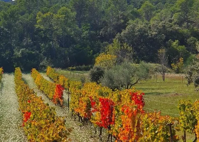 Mas Au Pic-saint-loup Ferienhaus