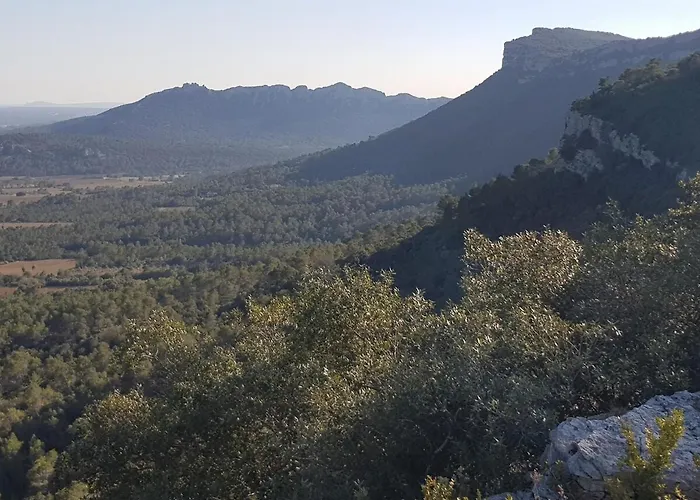 Mas Au Pic-saint-loup Ferienhaus *